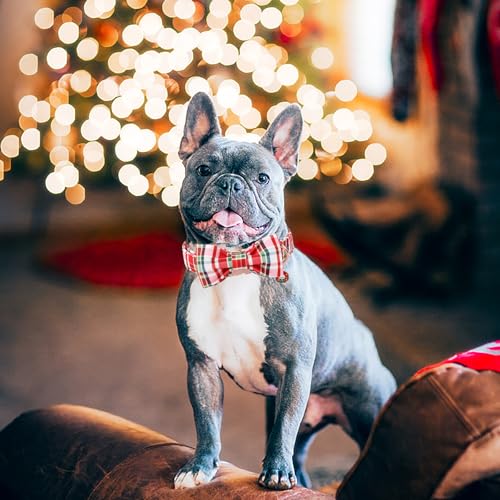 DOGWONG Christmas Dog Collar with Bow Tie - Christmas Red Plaid Puppy Collar, Adjustable Red Checkered Dog Collars for Girl Boy Dogs, S - color: A- red plaid, size: S