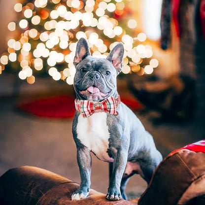 DOGWONG Christmas Dog Collar with Bow Tie - Christmas Red Plaid Puppy Collar, Adjustable Red Checkered Dog Collars for Girl Boy Dogs, S - color: A- red plaid, size: S