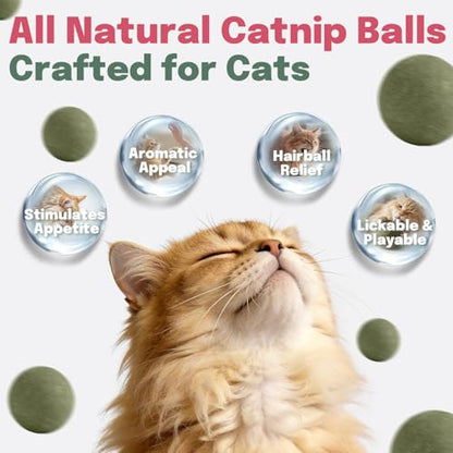 Cat Nip Balls, 4 Catnip Balls and 2 Gall Fruit Balls, Catnip Licking Ball Toys for Indoor Cats