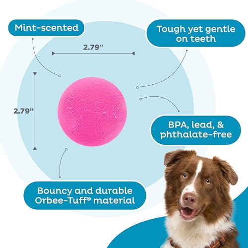 Outward Hound by Planet Dog Squeak Ball Bouncy Fetch Dog Toy, Pink - color: Pink Squeak Toy