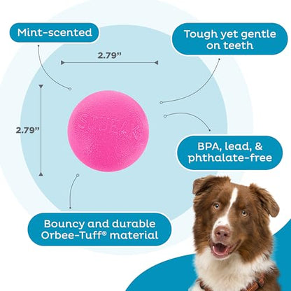 Outward Hound by Planet Dog Squeak Ball Bouncy Fetch Dog Toy, Pink - color: Pink Squeak Toy