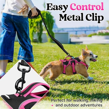 rabbitgoo Escape Proof Dog Harness Small Sized Dog, Soft Padded Full Body Pet Harness, Reflective Adjustable Vest with Lift Handle and Leash Clip for Walking Hiking Training, Pink & Black, S - color: Pink & Black, size: Small (Pack of 1)