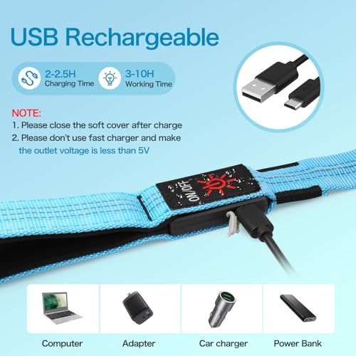 Weesiber Light Up Dog Leash, 4ft LED Dog Leash Rechargeable Safety Glow in The Dark Puppy Lead Safety Pet Lights for Night Walking (Blue) - color: Blue