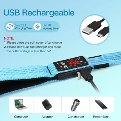 Weesiber Light Up Dog Leash, 4ft LED Dog Leash Rechargeable Safety Glow in The Dark Puppy Lead Safety Pet Lights for Night Walking (Blue) - color: Blue