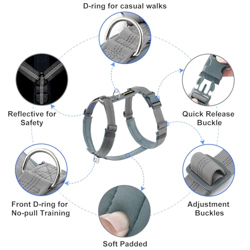 Plutus Pet No Pull Dog Harness, Adjustable Nylon Harness with Soft Padding, Reflective and Heavy Duty Dog Harness for Small, Medium, Large Dogs(Gray, S) - color: Gray, size: S