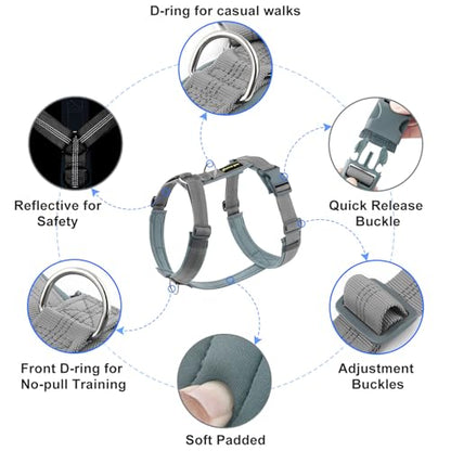 Plutus Pet No Pull Dog Harness, Adjustable Nylon Harness with Soft Padding, Reflective and Heavy Duty Dog Harness for Small, Medium, Large Dogs(Gray, S) - color: Gray, size: S