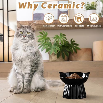 Ceramic Raised Cat Bowl，Tilted Raised Bowl Anti Vomit for Indoor Cats Whisker Friendly Pet Feeder for Cats Puppies, Microwave and Dishwasher Safe (Black) - color: Black
