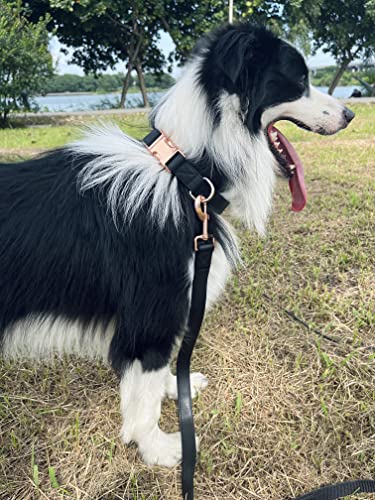 Dog Collar and Leash Set.Soft and Easy to Clean Vegan Leather with Rose Gold Metal Buckle for Small Medium Large Dogs (Black, L(15.4”-24.8“) - color: Black, size: L
