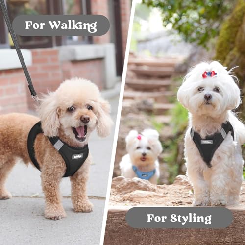 rabbitgoo Small Dog Harness, Step-in Soft Mesh Puppy Vest with Safety Buckle, Breathable Reflective Pet Harness for Small Medium Dogs, Black L - color: Black, size: L(chest:18.2"-20.5")