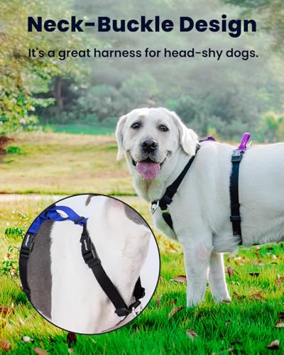 Non-Restrictive Dog Harness, Easy Walk Freedom No Pull Harness, Keep Balance, Neck-Buckle, Six Points Adjustment, 2 Leash Clips for Back and Front Clip (Red/Black, X-Small) - color: Red/Black, size: XS