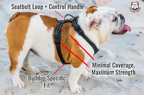 No-Pull Harness for English & French Bulldogs - Adjustable Wide-Chest Fit, Reflective Vest with Control Handle (Brave Black Camo, Medium) - color: Brave Black Camo, size: Medium