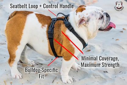 No-Pull Harness for English & French Bulldogs - Adjustable Wide-Chest Fit, Reflective Vest with Control Handle (Frisky Flowers, XL) - color: Frisky Flowers, size: XL