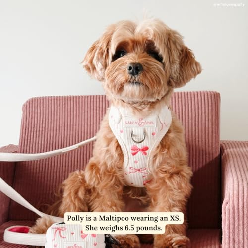 Lucy & Co. Ever So Sweet No-Pull Dog Harness, Adjustable Front Clip Harness with Comfort Padding, Small - color: Ever So Sweet, size: Small