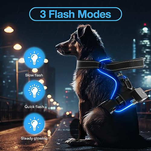 Light Up Dog Harness - No Pull LED Dog Harness Rechargeable, Glow Vest for Night Walking, Fits Small Medium & Large Dogs - color: Black-Blue, size: L