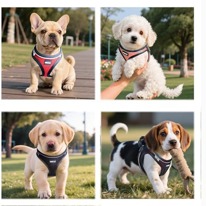 Dog Harness and Leash Set, No Pull Soft Mesh Pet Harness -in Puppy Pet Vest Harnesses for XS,Small,Medium Dogs and Cats Pink-S - color: Pink, size: S (Chest: 14-15.5")