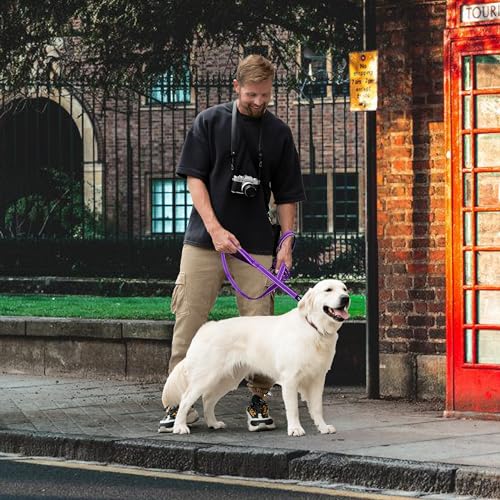 6 Foot Purple Dog Leashes for Large Medium and Small Breed Dogs That Pull,Reflective Nylon Heavy Duty Dog Leash with 2 Comfortable Padded Traffic Handles and Car Seat Belt for Walking and Training - color: Purple