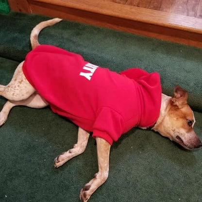 BINGPET Security Dog Hoodies Puppy Sweater Cold Weather Dog Coats Soft Brushed Fleece Pet Clothes Hooded Sweatshirt for Dog Cat - color: #1 Red(Security), size: X-Large/XX-Large (All Breed Sizes)