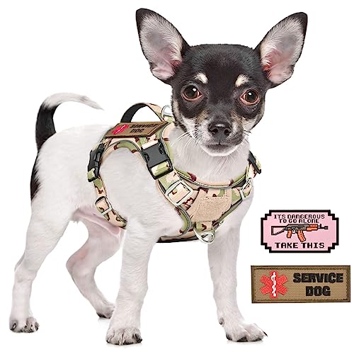 Tactical Small Dog Harness for Puppy, No Pull Military Service Dog Vest with Vertical Handle, Outdoor Training Small Puppy Vest Chihuahua Harness (Desert Green, XS) - color: Desert Green