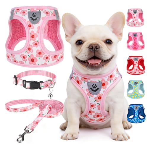 SCENEREAL Small Dog Harness and Leash Collar Set, Step in Soft Light Puppy Vest, Breathable Pet Harness for Small Sized Dogs, No Chock Reflective for Safe Outdoor Walking, Pink Flower M - color: Pink Flower, size: M: Chest Girth: 16"-18"