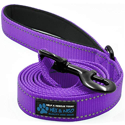 Max and Neo Reflective Nylon Dog Leash - Purple, 4 Feet - color: PURPLE, size: 4 FT x 1" Wide