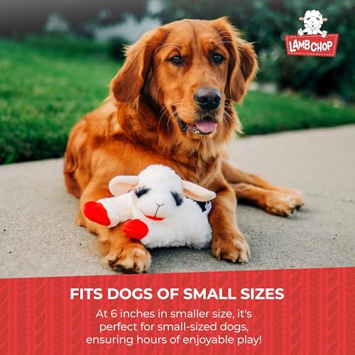 Multipet Lamb Chop Dog Plush Toy - Squeaky Toy for All Dogs - Extra Soft Plush - Stuffed Animal Dog-Toy for Cuddling & Playing - Cute Pet-Toy (6",Cream),(Pack of 3) - size: 6" (Pack of 3), style: White