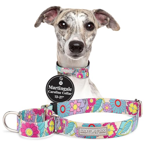 Lucky Love Dog Martingale Collar, Premium No Slip Martingale Collar for Medium Dogs, Great for Whippets, Greyhounds, and More (Caroline, Medium) - color: Caroline, size: Medium Collars (13-21")