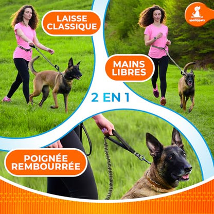 SparklyPets - Hands Free Dog Leash with Reflective Stitches - Waist Leash for Medium & Large Dogs Walking, Hiking, Training, Jogging, Canicross, Running - color: Olive Green, size: 1 dog M/L