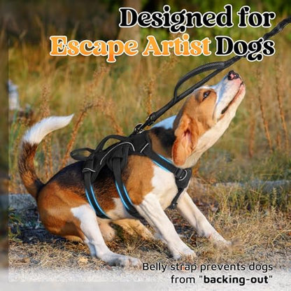 rabbitgoo Escape Proof Dog Harness, Soft Padded Full Body Pet Harness, Reflective Adjustable No Pull Vest with Lift Handle and Leash Clip for Large Dogs Walking Hiking Training, S, Black - color: Black, size: Small (Pack of 1)