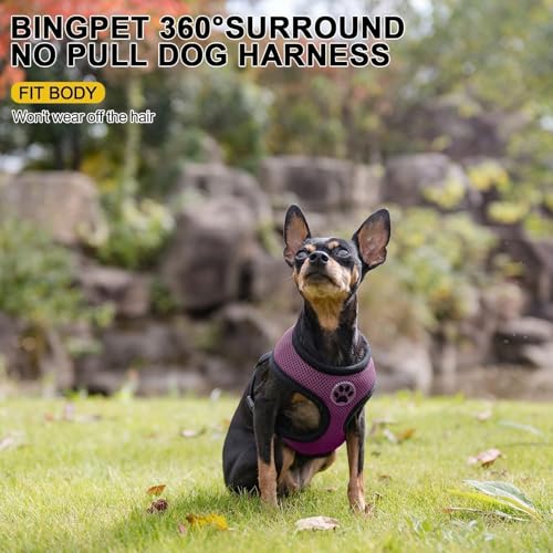 BINGPET Small Dog Harness, No Pull Dog Harness Small Sized Dogs, Soft Light Breathable Mesh Puppy Vest with Safety Buckle-Adjustable Step in Pet Harnesses for Easy Walking, Running, Training - color: Purple, size: XS (NECK: 10", CHEST: 10"-14")