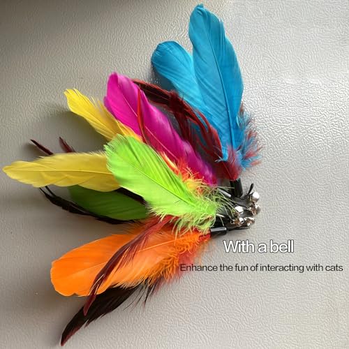 AcceLeah Cat Toy Replacement Feathers Cat Toy Wand Refills, Natural Bird Feathers Dragonfly Worm Refill, Cat Feather Toy Replacement for Cat Wand (17 Pcs (No Eyes)) - color: 17 Pcs (No eyes)