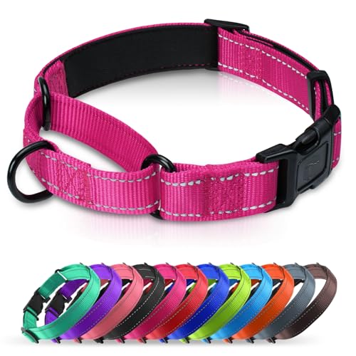 Martingale Collar for Dogs with Quick Release Buckle, Reflective Soft Padded & Escape Proof, Adjustable Nylon Dog Collars for Training & Daily Walking (Hotpink,XS) - color: Hot Pink, size: XS:width 5/8"neck 10.5-12"