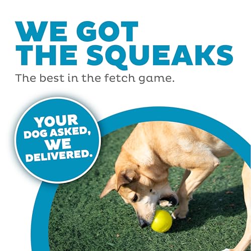 Outward Hound by Planet Dog Squeak Ball Bouncy Fetch Dog Toy, Yellow - color: Yellow Squeak Toy