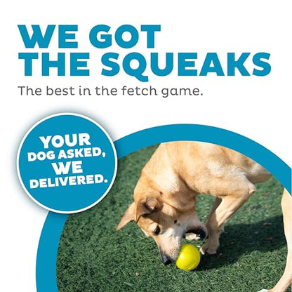 Outward Hound by Planet Dog Squeak Ball Bouncy Fetch Dog Toy, Yellow - color: Yellow Squeak Toy