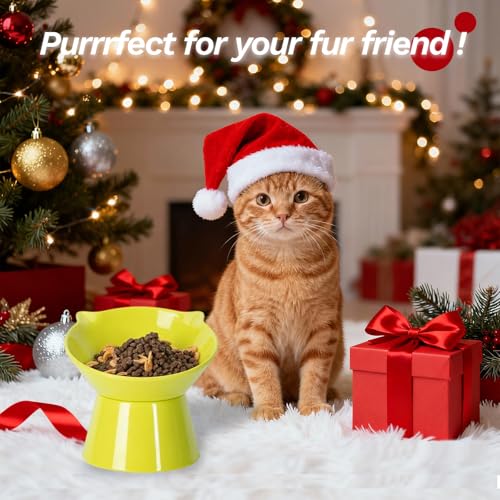 Detachable Elevated Cat Bowls, 15° Tilted Raised Cat Food Bowl Anti-Vomiting,Whisker Friendly, Adjustable Pet Dishes for Protecting Spine, cat Bowls for Indoor Cats Adult Kitten - color: Green