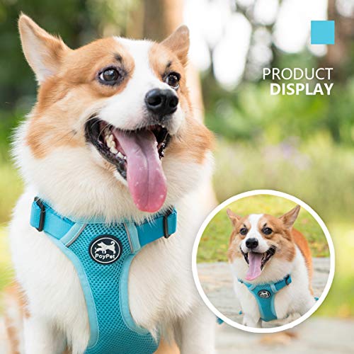 PoyPet Reflective Soft Breathable Mesh Dog Harness No Choke Double Padded Vest Adjustable(Light Blue,XS) - color: Blue, size: XS
