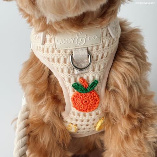 Lucy & Co. Main Squeeze Crochet No-Pull Dog Harness, Adjustable Front Clip Harness with Comfort Padding, Small - color: Main Squeeze, size: Small