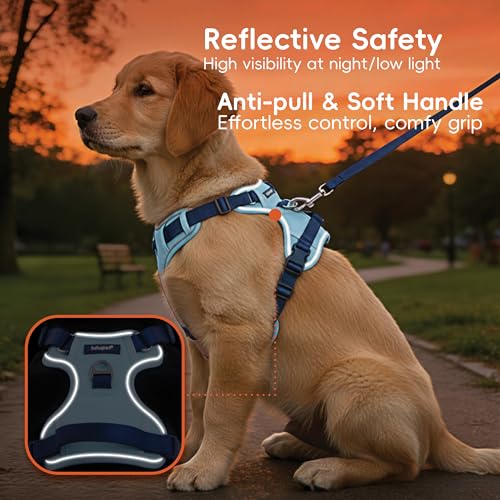 Blue Dog Harness Leash Collar Set, No Pull Reflective Dog Vest Harness with Control Handle, Adjustable Breathable Pet Harness for Large Dogs Walking Training - color: Blue, size: XL