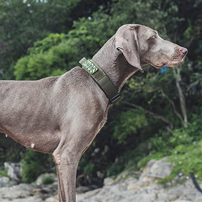 OneTigris Tough Dog Collars, Tactical Dog Collar with Handle, Milltary Adjustable Dog Collar with Heavy Duty Metal Buckle for Training (Green, S) - color: Green, size: S