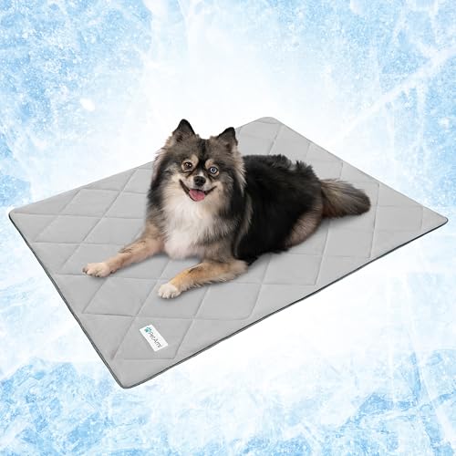 PetAmi Premium Cooling Dog Blanket | Lightweight Fluffy Pet Throw Blanket Bed Cover for Dogs, Cat, Puppies | Pet Blanket Furniture Protector Couch Sofa | Reversible Fuzzy Cozy | 24x32, Light Grey - color: Light Grey, size: Small (24x32)