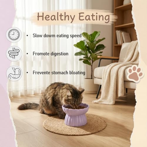Ceramic Cat Slow Feeder, Raised Slow Feeder Cat Bowl, Anti Vomiting and Whisker Friendly Kitty Dish, Elevated Puppy Kitten Food Bowl for Dry and Wet Food (Purple) - color: Purple