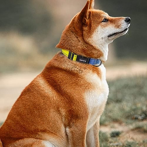Roses&Poetry XS Dog Collar with Gradient Amber, Yellow Reflective Dog Collar Adjustable XSmall Puppy Collars Tiny for Small Medium Large Dogs (Amber-XS) - color: Yellow Amber, size: XS