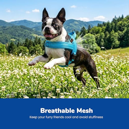 Didog No Pull Dog Harness with Soft Mesh Padded,Reflective & Quick Fit Light Weight Dog Strap Vest Harness,Easy for Walking Training (XS:Chest 15-18", Mesh-Blue) - color: Blue, size: XS: Chest 15-18", Fit 9-18 lbs