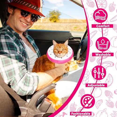 Cat Cone Collar Soft, Adjustable Cat Recovery Cone to Stop Licking, Cute Kitten Donut Collar After Surgery, Elizabethan Collars for Kittens, Lightweight Cats Neck Cones (Dragonfruit, Medium) - color: Dragonfruit, size: Medium