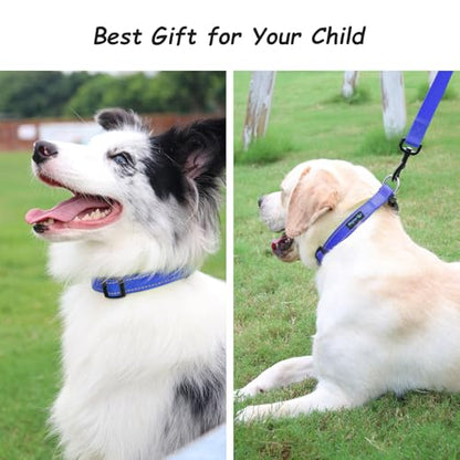 Wagtime Club Reflective Dog Collar with Buckle Quick Release Adjustable Nylon Collar for Small Medium Large Dogs (Small, Royal Blue) - color: Blue, size: s