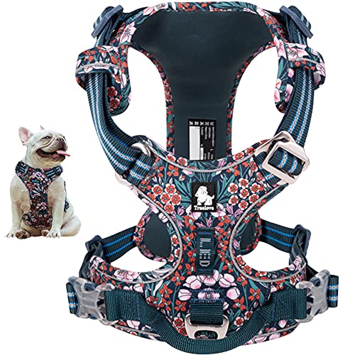 La La Pet® No Pull Dog Harness with Front Clip, Reflective Dog Vest Harness with Handle Floral Neoprene Padded Dog Vest for Puppy Small Medium Large Dogs 3 Snap Buckles Easy to Put on & Take Off - color: Blue Red Flowers, size: X-Small