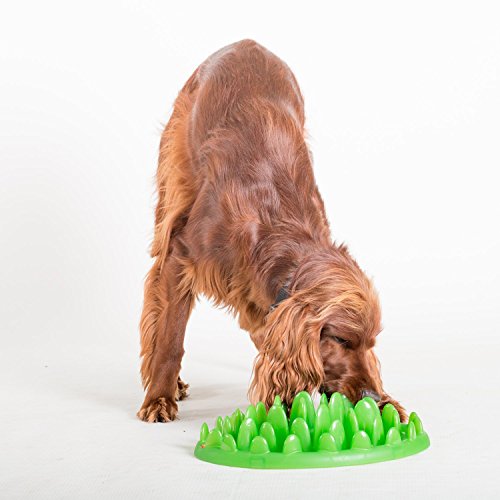Company of Animals GREEN Slow Interactive Feeder for Dogs, Size Large, Best Fun Slow Feeder Dog Bowl, Anti-Gulp, Gobble Stopper, Mental Stimulation Dog Puzzle, Suitable for Small, Medium & Large Dogs - size: Large