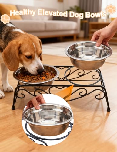 Small Dog Bowls with Metal Stand for Small Breeds Cats and Puppies 3.4 Inch Fixed Height Elevated Feeder with 2 Removable Stainless Steel Bowls