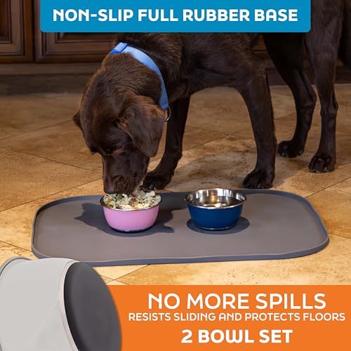 Master Pet Supply Stainless Steel Dog Bowls Set of 2 (16 Oz Each) with Non-Slip Rubber Base - Bone White - Basic Dog Food Bowl Water & Food Bowls for Small Medium Large Dogs & Cats, Metal Dish - color: Bone White, size: 2 Cups (16 oz) 2 Pack