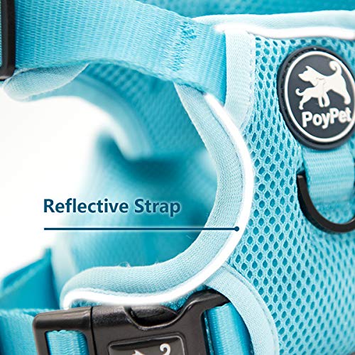 PoyPet Reflective Soft Breathable Mesh Dog Harness No Choke Double Padded Vest Adjustable(Light Blue,XS) - color: Blue, size: XS