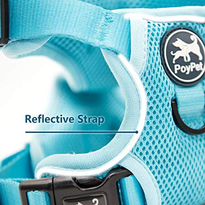 PoyPet Reflective Soft Breathable Mesh Dog Harness No Choke Double Padded Vest Adjustable(Light Blue,XS) - color: Blue, size: XS